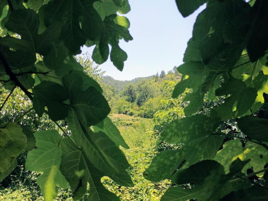 La Casirria Villa Olba ภายนอก รูปภาพ